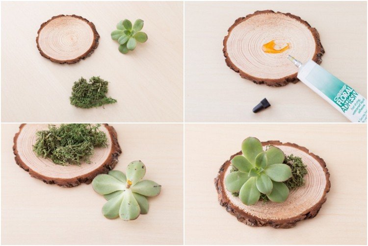 Pokyny pre svadobný dar vytvorte si vlastný šťavnatý mach