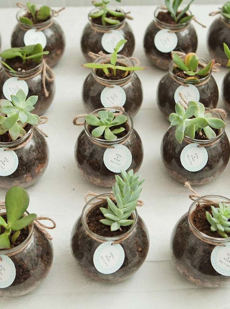 mini sukulentná svadba