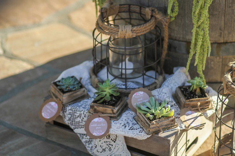 Sukulenty na svadbu ako večierok uprednostňujú zabalené nápady