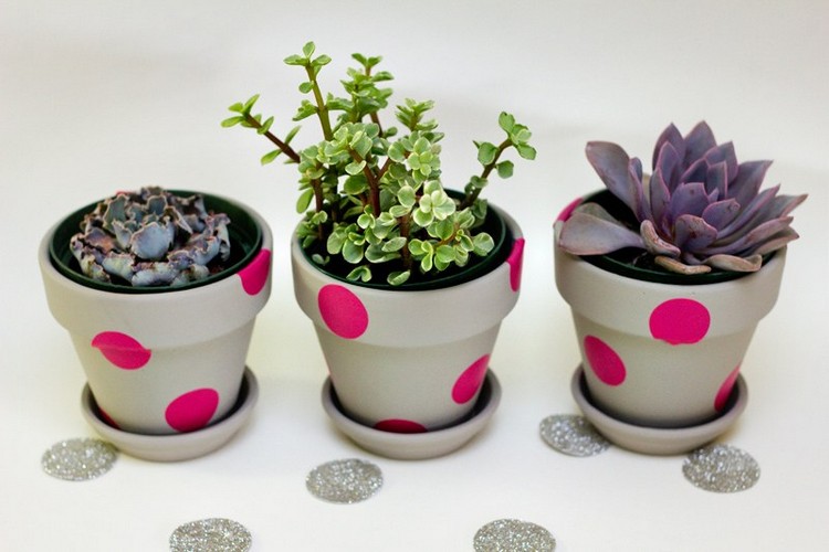 krásna svadba uprednostňuje mini hrnce sukulenty