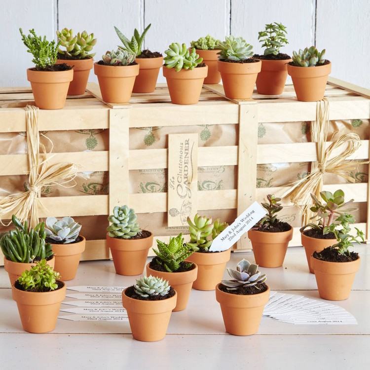 DIY nápady strana uprednostňuje svadobné mini sukulentné hrnce