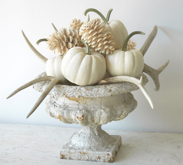 Šišky bielidlo biele tekvice jesenná zimná dekorácia naplavené drevo