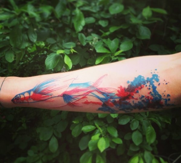 Tetovanie-nápady-ryby-motívy-predlaktie