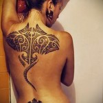 cápa tetoválás a hátán 2