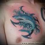 cápa tetoválás borjúnak 2