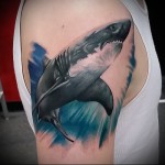 fehér cápa tetoválás 3