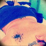 снимка Тату Анфиса Чехова от 06.02.2018 г. №020 - Тату Анфиса Чехова -