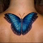 Pillangó tetoválás 1