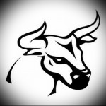 skice bikova tetovaža carit