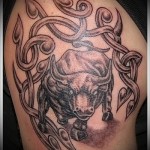 Tetovaža bika na ramenu
