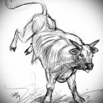 bika veri a patákat - bika tetoválás vázlat