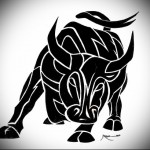 fekete bika - bika tetoválás vázlat