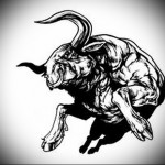 izmos, egészséges bika - Vázlat bika tetoválás