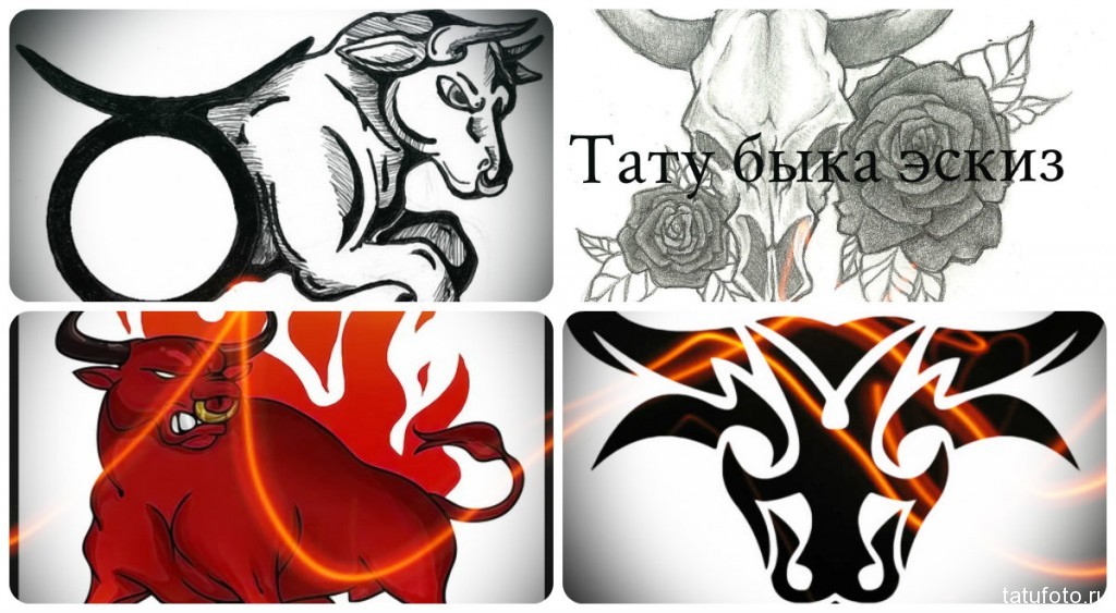 Bika tetoválás vázlat
