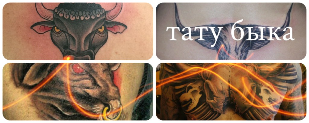 tetovaža bika
