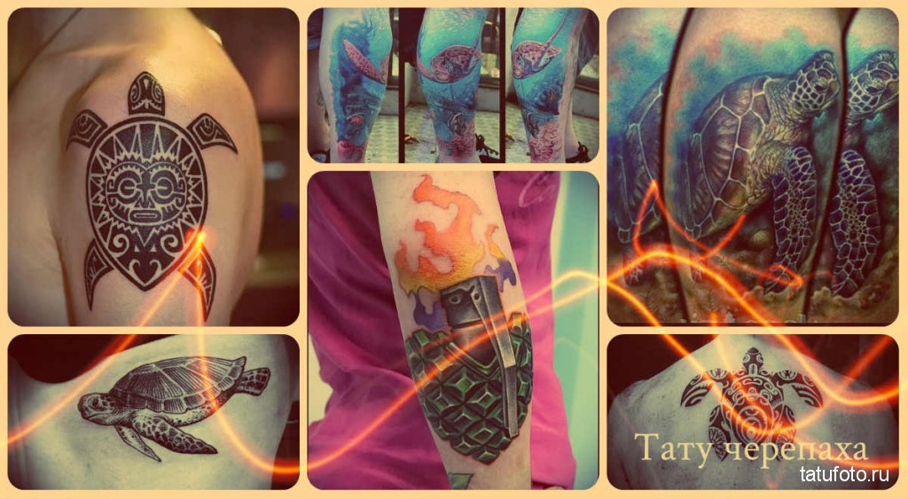 Teknős tetoválás - példák a kész munkákra a fotón