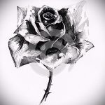 رسومات زهور الوشم بالألوان المائية - رسومات من 2016/04/26 11