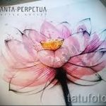 رسومات زهور الوشم بالألوان المائية - رسومات من 26 سبتمبر 14