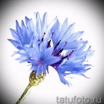 رسومات زهور الوشم بالألوان المائية - رسومات من 26 سبتمبر إلى 28