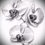 وشم اسكتشات زهور سوداء - رسومات من 2016/04/26 11