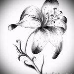 اسكتشات زهور الوشم بالأبيض والأسود - رسومات من 26/04/2016 4