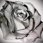 اسكتشات زهور الوشم بالأبيض والأسود - رسومات من 26/04/2016 7