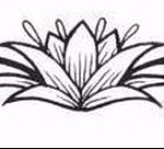 كروكيز ديون تاتوج سور لو بوينيه فلورز - صور sur 26-11.2