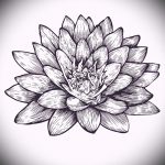 فلور دو لوتس كروكيز دي تاتواج - dessins de 26