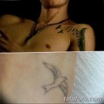 снимка на татуировката Джоузеф Морган от 01/08/2018 №016 - Джоузеф Морган Татуировка -