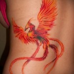 Főnix tetoválás fotó - fotó a kész tetoválásról 11022016 -ból 1