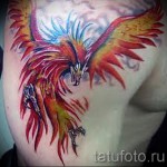 Főnix tetoválás fotó - fotó a kész tetoválásról 11022016 -ból 3