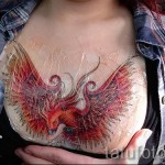 Phoenix tatouage sur sa poitrine - une photo du tatouage fini 11022016 2