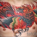 Főnix tetoválás a mellkasán - fotó a kész tetoválásról 11022016 1