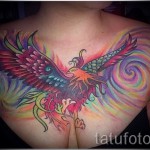 Főnix tetoválás a mellkasán - fotó a kész tetoválásról 11022016 3