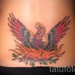 Főnix tetoválás a hát alsó részén - fénykép a kész tetoválásról 11022016 1