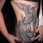 Főnix tetoválás az oldalon - fénykép a kész tetoválásról 11022016 1