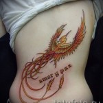Phönix Tattoo - ein Foto des fertigen Tätowierung auf 11022016 2