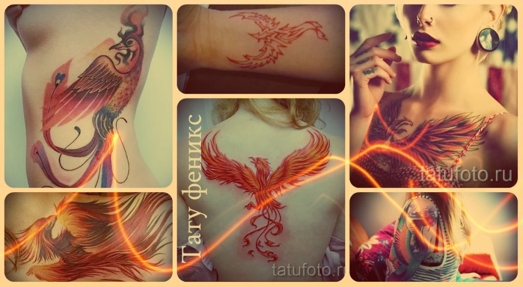 Phoenix tetoválás - kész tetoválások a fotón
