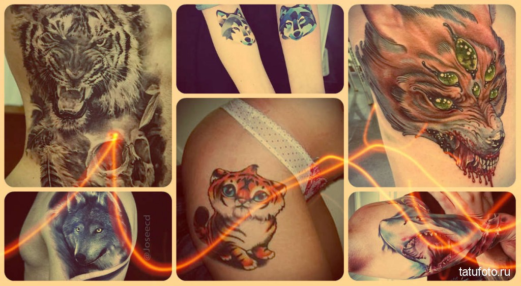 Ragadozó tetoválások - fotók - a legjobb tetoválóművészek kész munkái