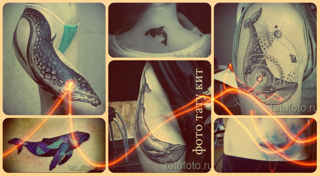 Fénykép egy bálna tetoválásról - válogatás méltó kész tetoválásokról a testen