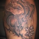 Bak tetoválás a lábán - Fotó példa az 18122015 sz