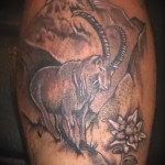 Bak jel tetoválás - fotó példa 18122015 № 41