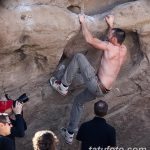 снимка на Chris Evans Tattoo от 19.12.2017 г. No 015 - Chris Evans Tattoo -