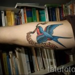 лястовична татуировка на ръката му - Пример за снимка 2