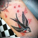 татуировка на лястовици старо училище - пример за снимка 10