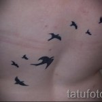 татуировка на малка лястовица - пример за снимка 5