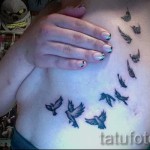 татуировка ято лястовици - пример за снимка 3