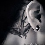 лястовична татуировка зад ухото - пример за снимка 2