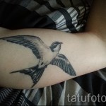 татуировка на лястовица на ръка - пример за снимка 7