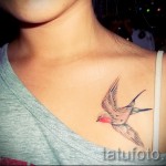 татуировка на лястовица на гърдите - пример за снимка 34